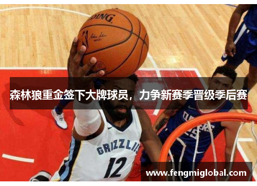 森林狼重金签下大牌球员，力争新赛季晋级季后赛