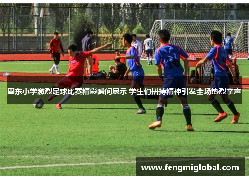 固东小学激烈足球比赛精彩瞬间展示 学生们拼搏精神引发全场热烈掌声